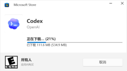 Codex 安装进度截图